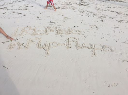 2017-07-29-PHOTO-00003127